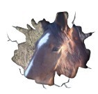 Photo de profil de mazonzon