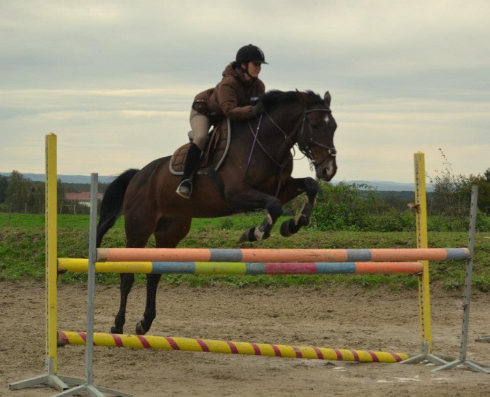 Photo de profil de lele0503