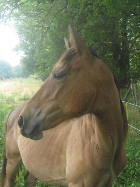 Photo de profil de samaramajument