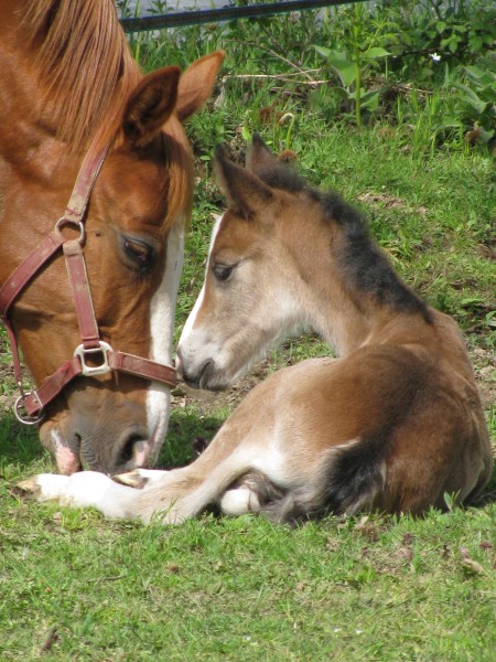 Photo de profil de lily53