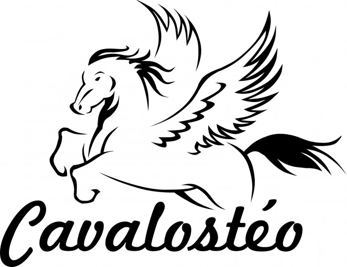 Photo de profil de cavalosteo