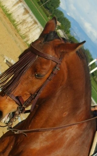 Photo de profil de paulinestar