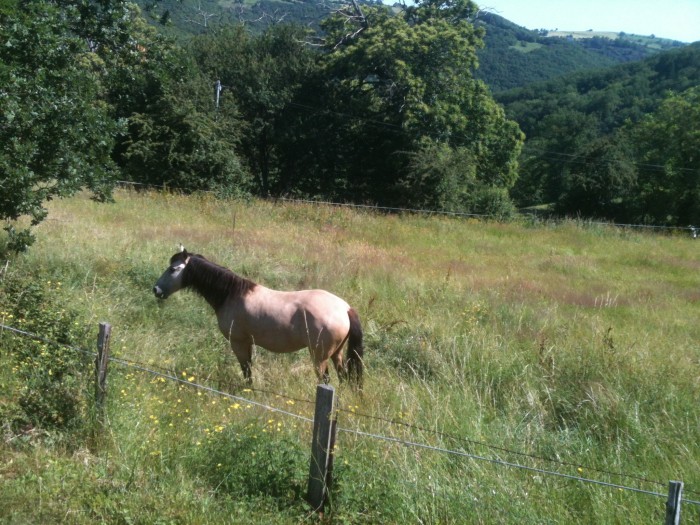 Photo de profil de nouchka34