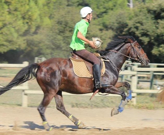 Photo de profil de ptialex