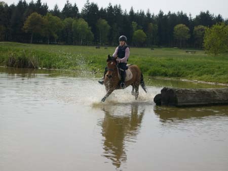 Photo de profil de love_horse1