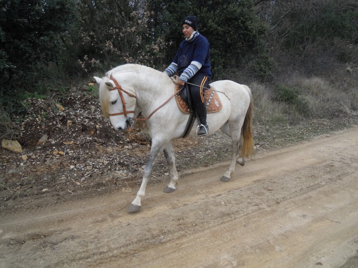 Photo de profil de phoenix83