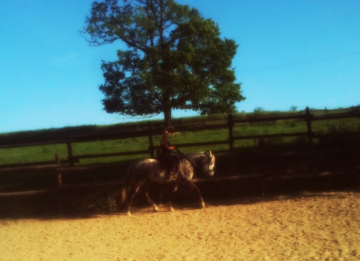 Photo de profil de vmelanie