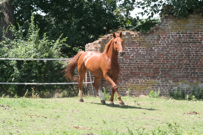 Photo de profil de clo6