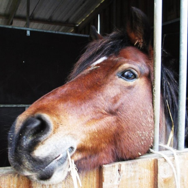 Photo de profil de uzodubru