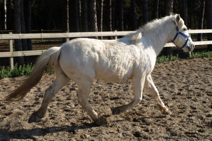 Photo de profil de belzai01