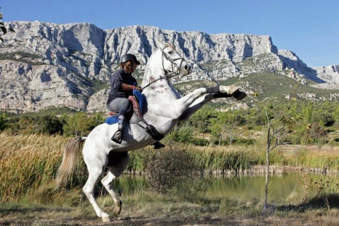 Photo de profil de saranou12