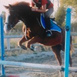 Photo de profil de alice6