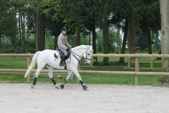 Photo de profil de collin.camille