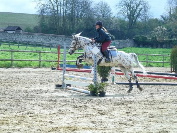 Photo de profil de tarzanfanfan