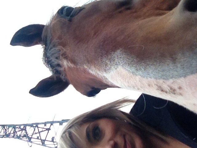 Photo de profil de merrymelody