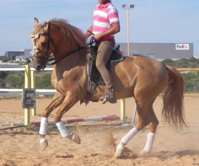 Photo de profil de honorinepepain