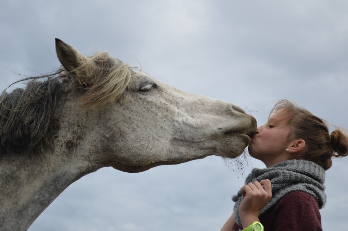 Photo de profil de poneyponeyponey