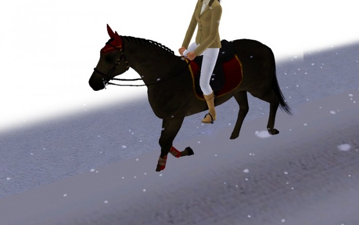 Photo de profil de nanacad22
