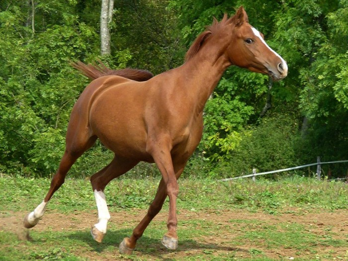 Photo de profil de lilidu25