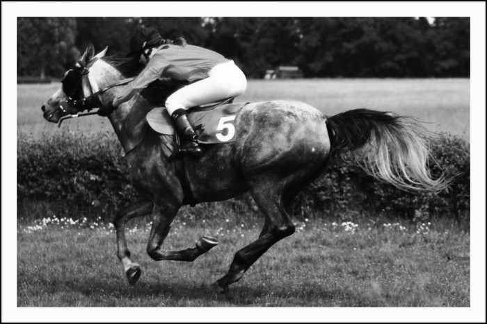 Photo de profil de liviaunk