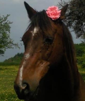 Photo de profil de chipie23