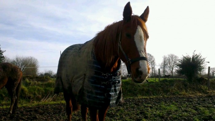 Photo de profil de elisadepadd