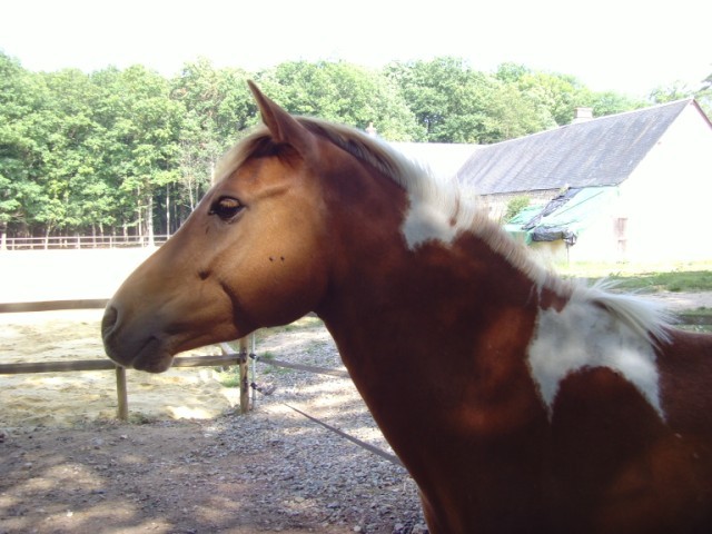 Photo de profil de mimzag