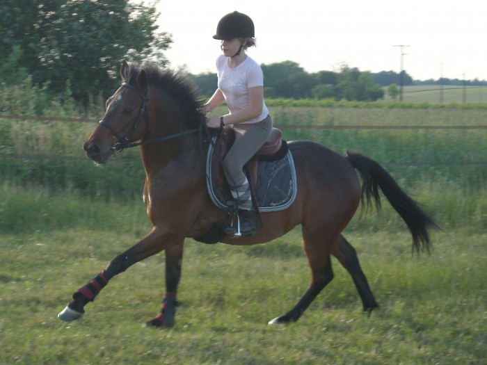 Photo de profil de dodo17