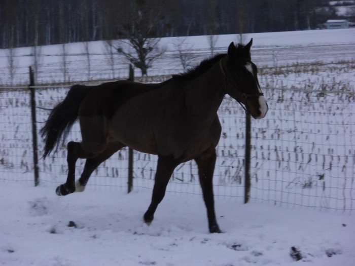 Photo de profil de marine10210