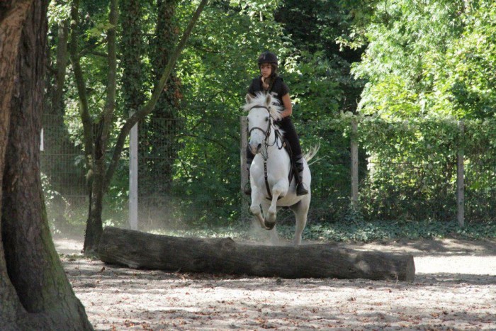 Photo de profil de rosa75