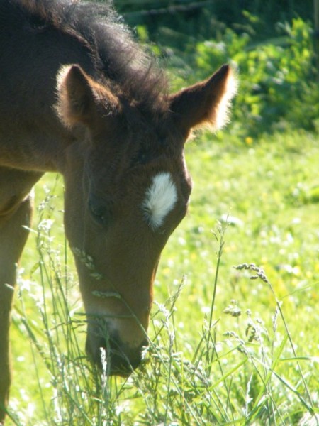 Photo de profil de enavah