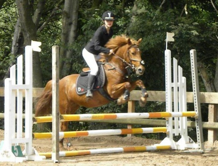 Photo de profil de missdragibus