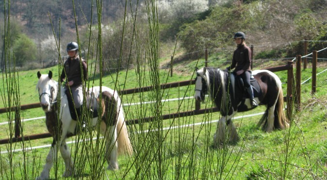 Photo de profil de lepaddock53