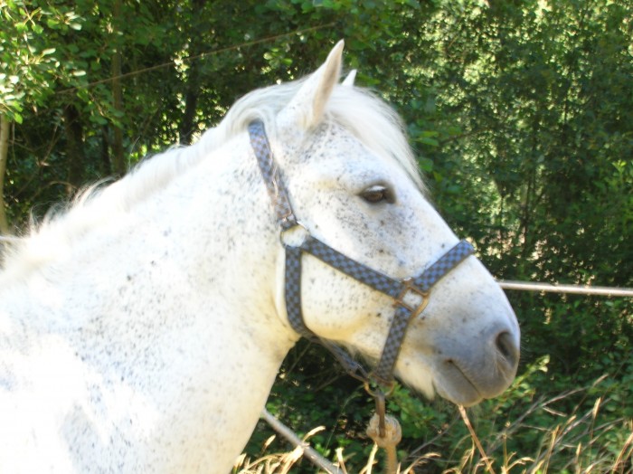 Photo de profil de pauline26300
