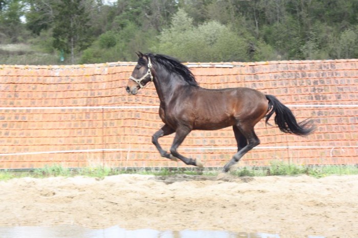 Photo de profil de frank.lavergne