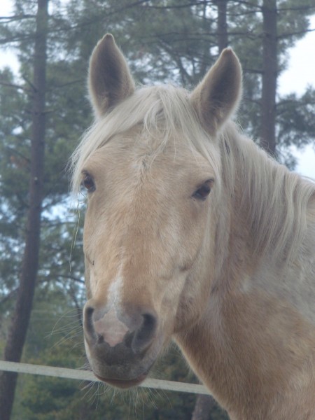 Photo de profil de mathildeetultra