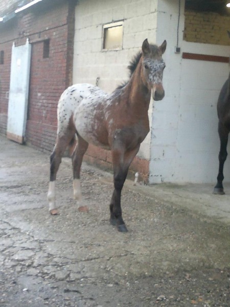 Photo de profil de l0lite76