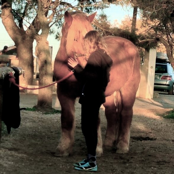 Photo de profil de camillesophie