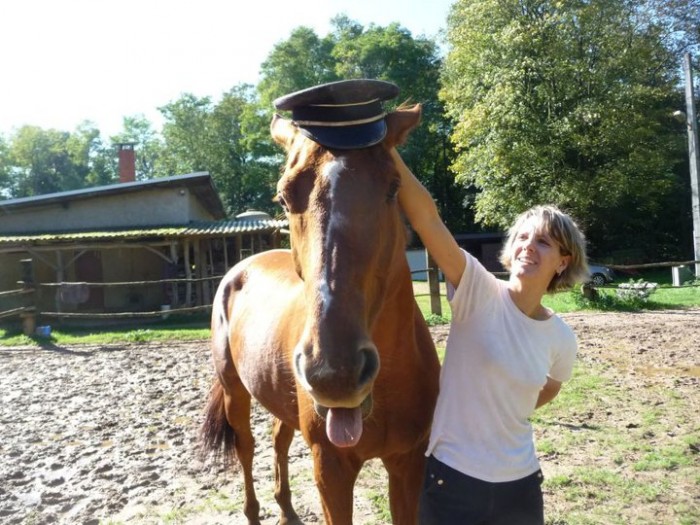 Photo de profil de dochorse.fr