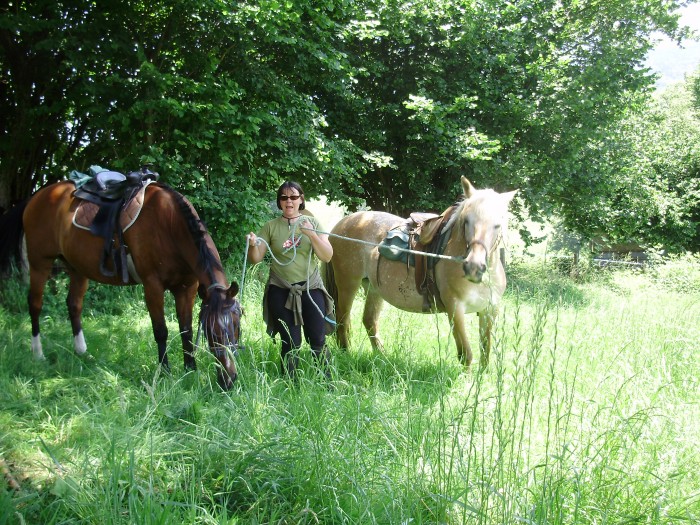 Photo de profil de nereides