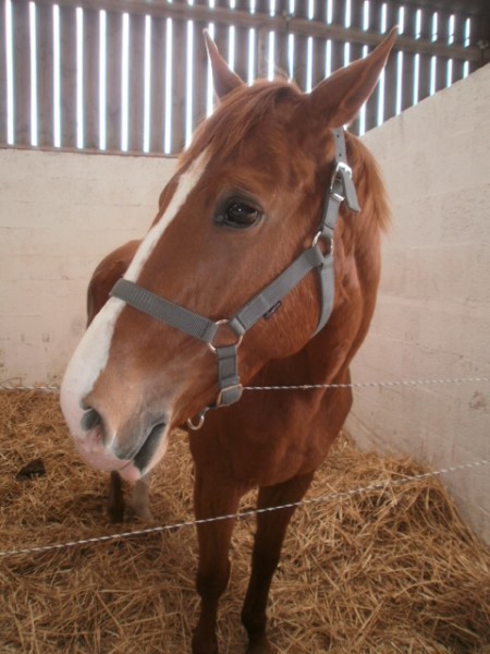 Photo de profil de ushawak29