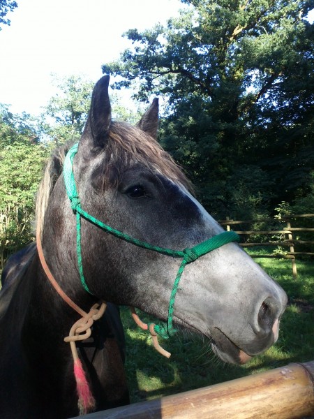 Photo de profil de zoev