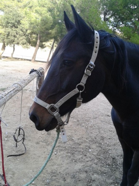 Photo de profil de mydream.loupa