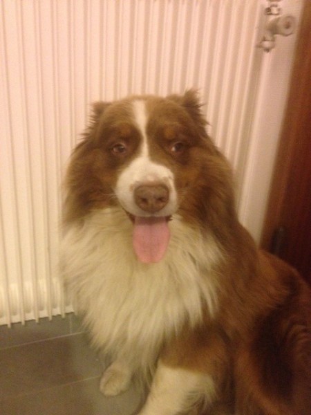 Photo de profil de arthus69