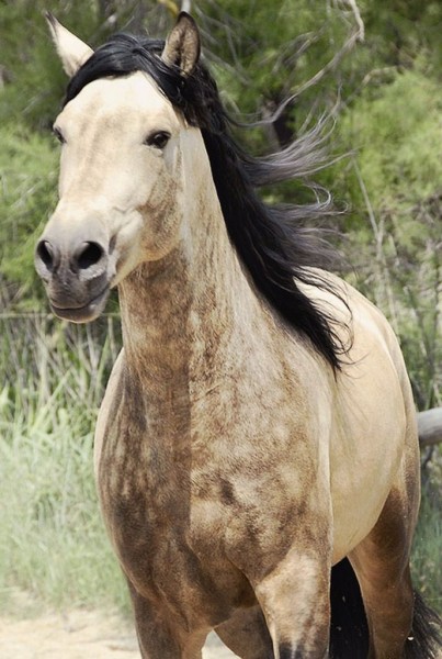 Photo de profil de loubat