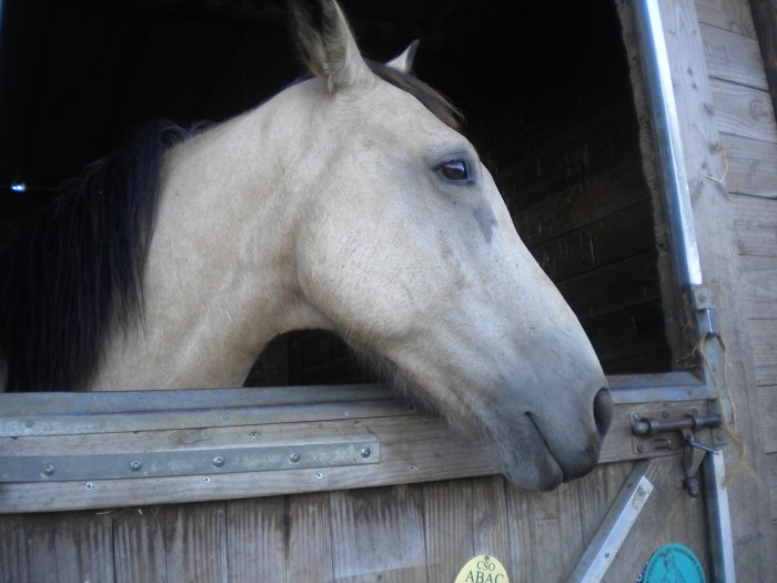 Photo de profil de quivoila