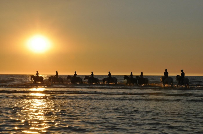 Photo de profil de ratat