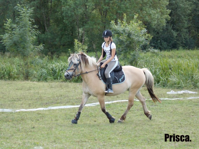 Photo de profil de lea37