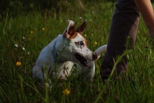 Photo de profil de levoiddelabure