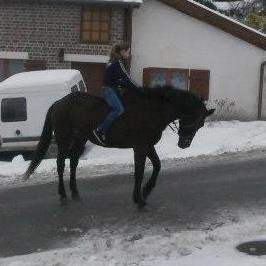 Photo de profil de blueboy